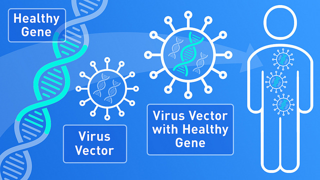 <p><em>FDA infographic by Michael J. Ermarth</em></p>
