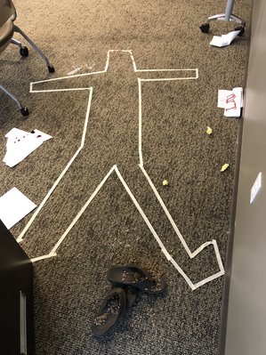 body outline